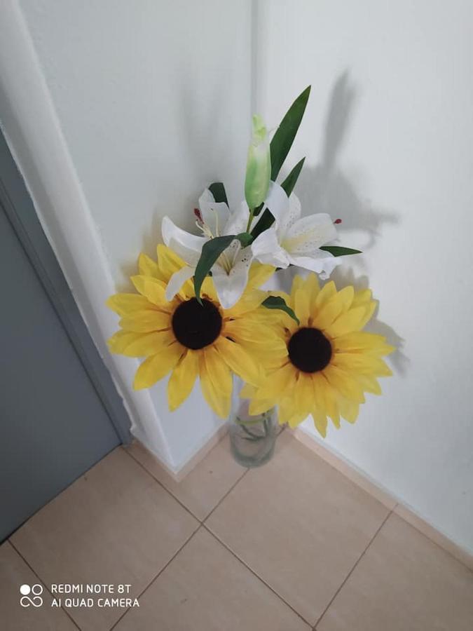 הוילה Mexilhoeira Grande Casa Da Vila מראה חיצוני תמונה